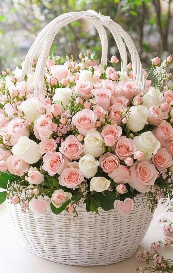 Garden's Serenity: Tranquil Blossom Harmony