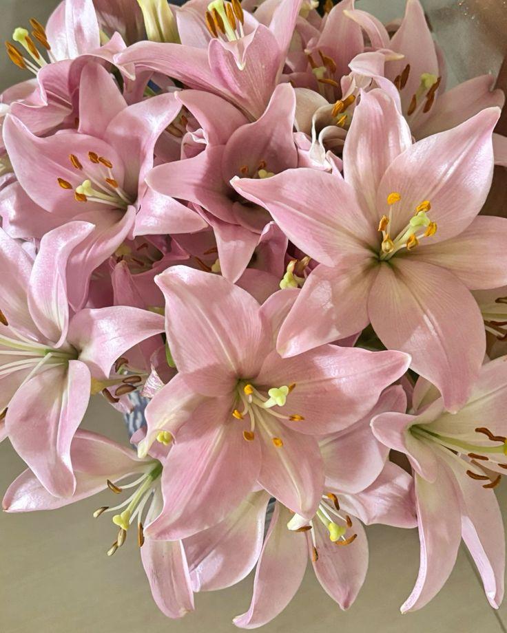 Secret Garden Delights: Enchanted Floral Array